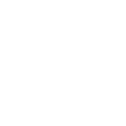 Soroptimist International Logo